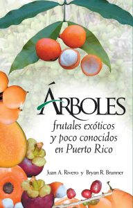 Árboles frutales exóticos y poco conocidos en Puerto Rico